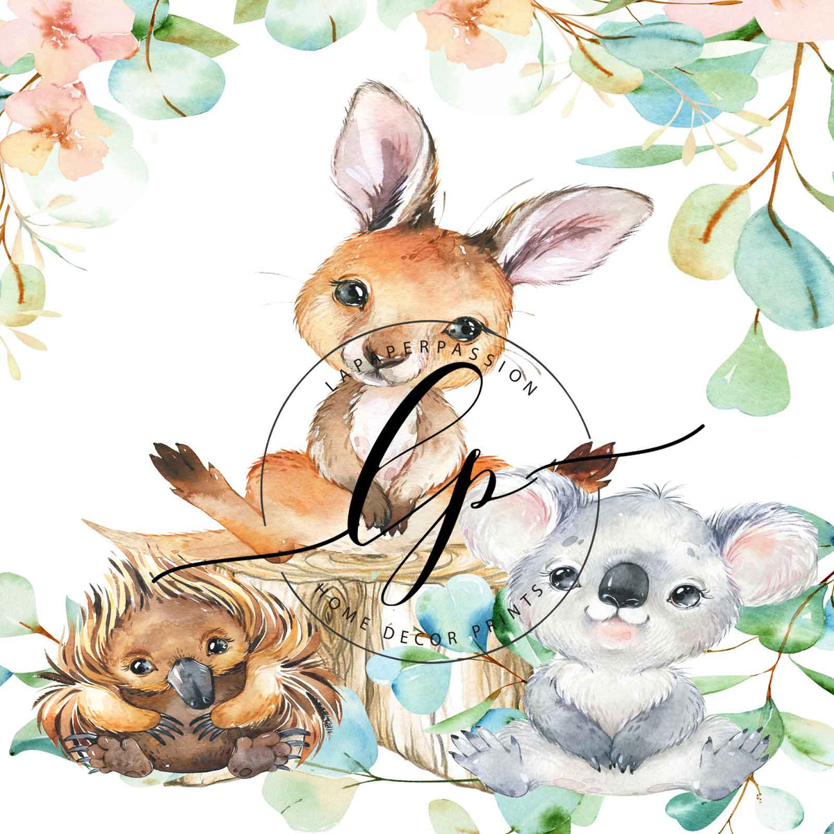 close up image of Australian animals kangaroo koala and echidna with la paper passion logo on top