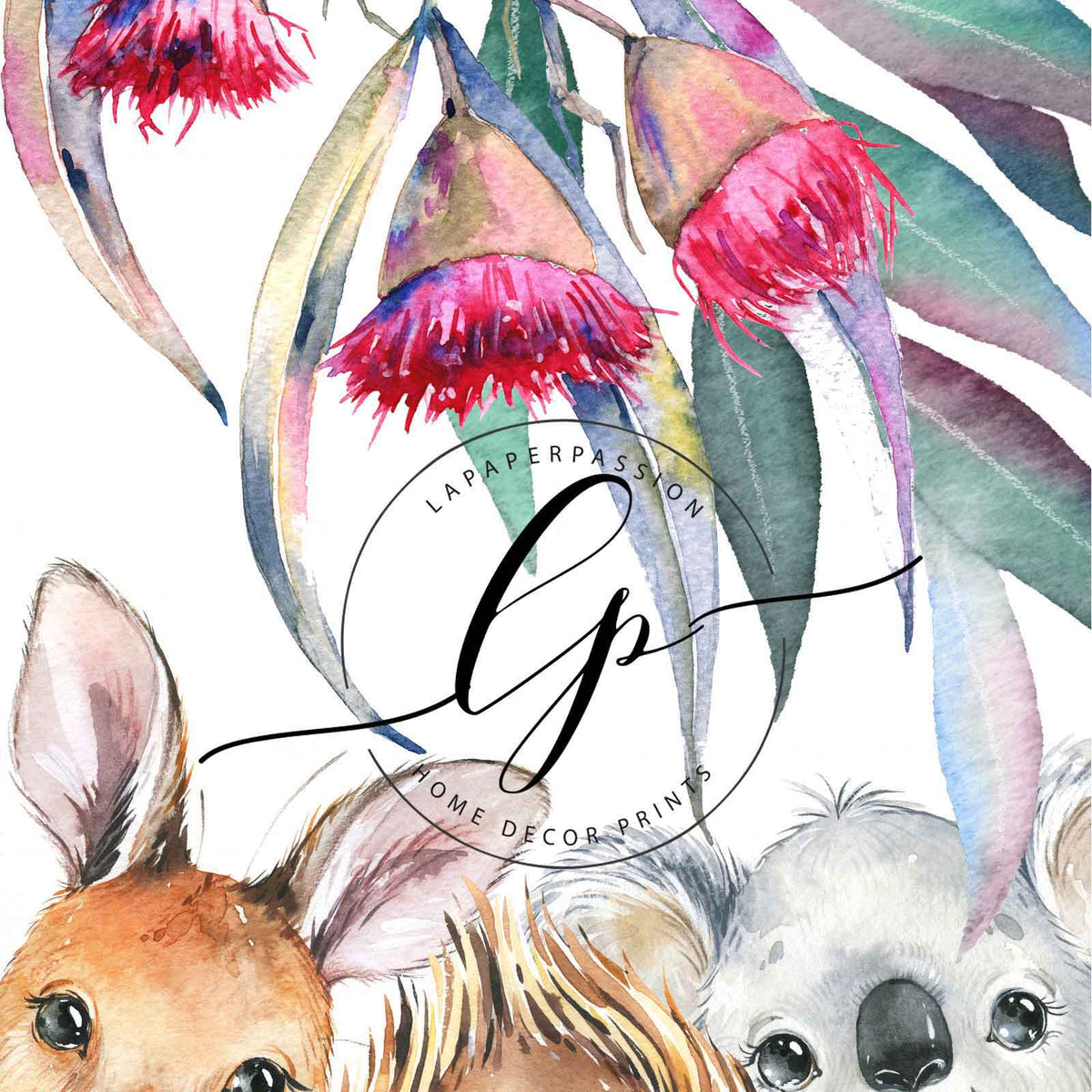 close up of australian animals