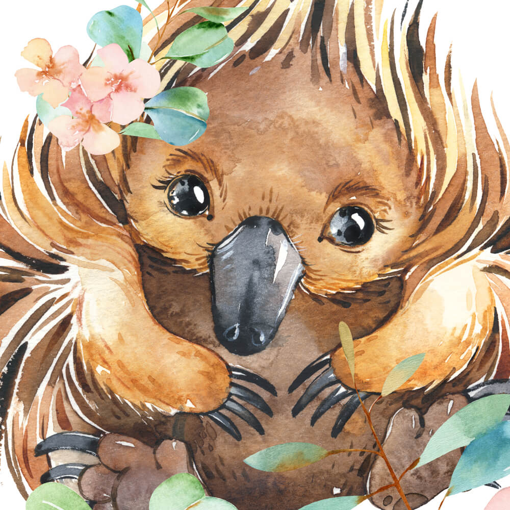 Australian wildlife euchidna nursery wall art with eucalyptus leaves