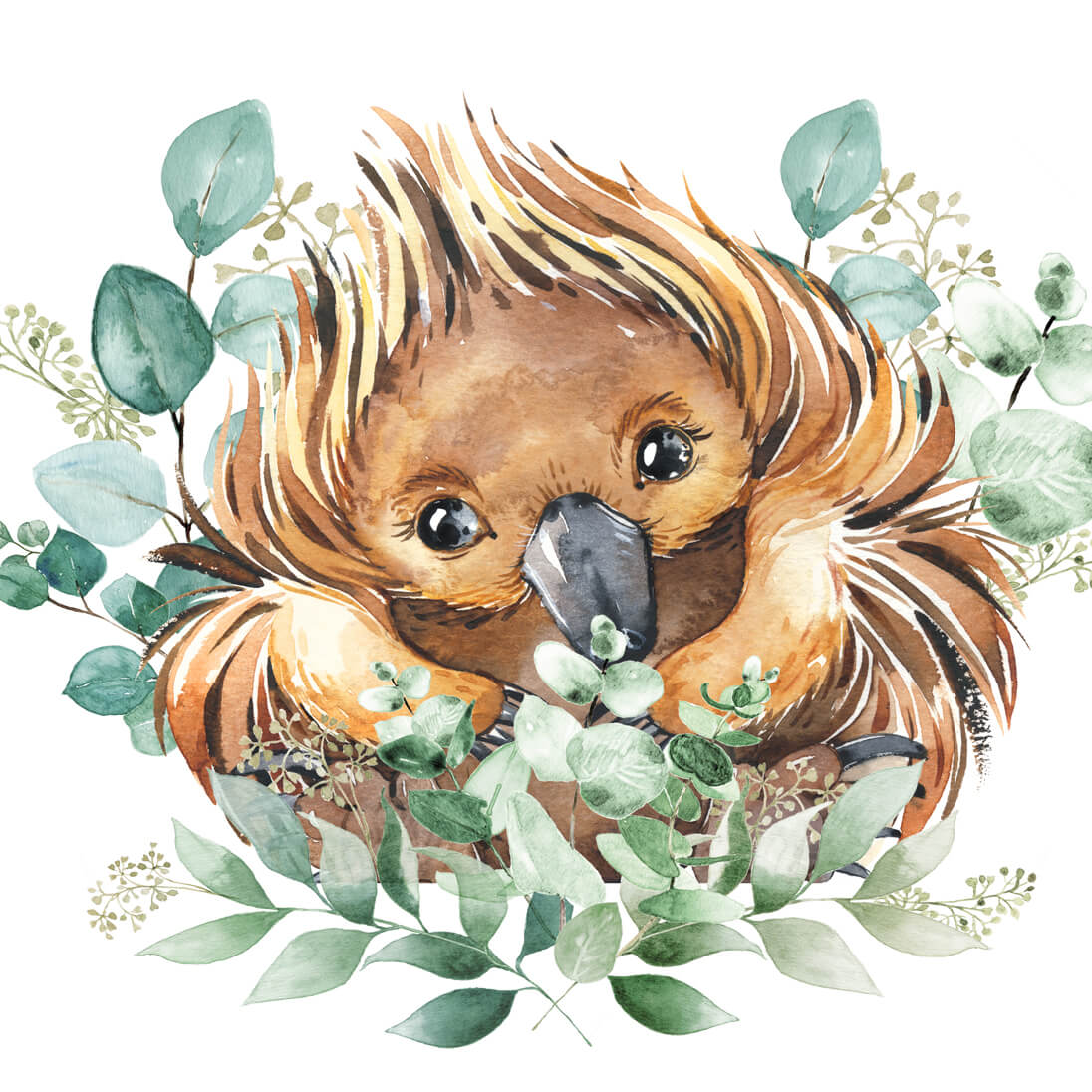 Native Australian animal wall art set for children's room